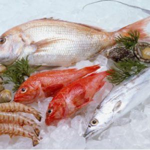 New microwave thawing equipment for seafood